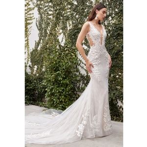 Off White Lace Fit & Flare Bridal Gown